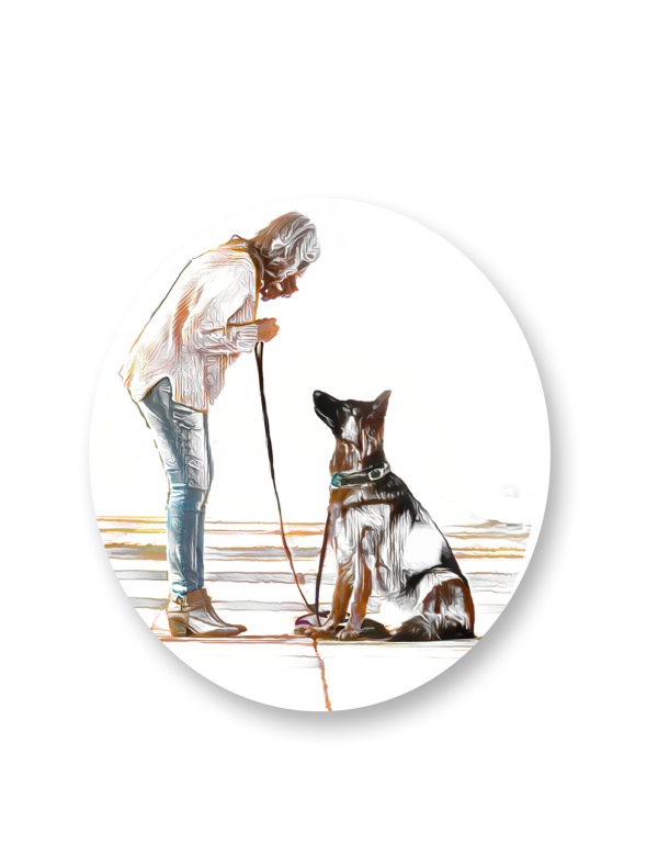 DogSpeak Dog Training, Behavior and Pet Sitting logo